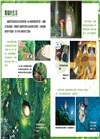 吉卜力工作室的各式各樣的生活