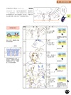全彩圖解！動畫製作基礎知識大百科：元老級動畫師親自作畫講解，制作流程、數位作畫到專業用語全方位入行攻略