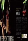 珍奇食蟲植物圖鑑：品種特性×植栽照護，打造充滿個性的庭園