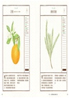 療癒身心的草本生活提案：提振精神、緩解不適、日常身心保養的63種芳香對策