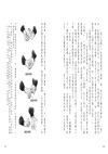 鐵道偵探大歷險2【美國篇】：加州彗星號綁架案（英國國家圖書獎兒童小說類年度圖書系列作）