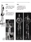 阿諾史瓦辛格之健美大全：現代健身的起點【隨書附贈】大尺寸阿諾經典健美姿勢書衣海報