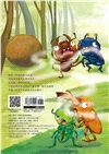 昆蟲小學03：好臭好臭的屁屁椿象