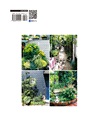 親手打造私宅小庭園(暢銷版)