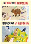奇妙的動物100種有聲掛圖：台灣＋世界動物大全（雙面＋中英文單字）