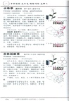 中國常見植物野外識別手冊：吉林冊（簡體書）