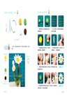 趣味黏土製作視頻課堂：清新植物（簡體書）