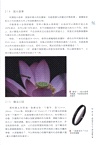 富士GFX100II/GFX100SII攝影與視頻拍攝手冊（簡體書）