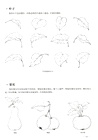 植物速寫圖譜（簡體書）