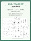 植物速寫圖譜（簡體書）