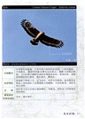 野外觀鳥手冊（簡體書）