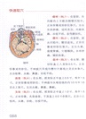 人體經絡穴位速學圖冊(簡體書)