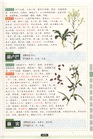 圖解本草綱目(全彩典藏版)（簡體書）