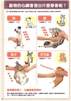 小孩的科學01：聲音探索聽診器
