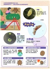 小孩的科學02：生物調查顯微鏡