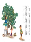 我家系列15週年紀念套組（共5冊）