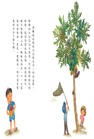 我家系列15週年紀念套組（共5冊）