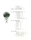 全球通史：從史前到21世紀(新譯本)(平裝本)下冊（簡體書）