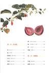 詩經博物課(手繪圖鑒版)：植物卷（簡體書）