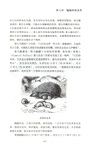 極簡動物圖志（簡體書）