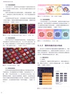 視覺傳達設計方法（簡體書）