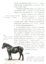 動物簡史：改變歷史的50種動物（簡體書）