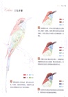鳥之繪(II)：36種中國鳥的色鉛筆圖繪（簡體書）