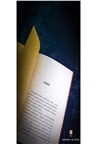 中國奇跡背後：改革的邏輯與學理（簡體書）