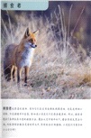 自然科學啟蒙之旅：奇妙森林（簡體書）