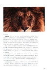 勇氣召喚術（簡體書）
