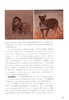 勇氣召喚術（簡體書）