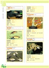 熱帶魚飼養：從新手到高手（簡體書）