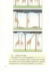 生物圈：誰是地球最後的生靈（簡體書）