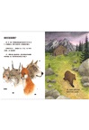 我的野生動物朋友(全8冊)(簡體書)