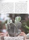 700種多肉植物原色圖鑒（簡體書）