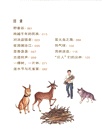 沈石溪動物探索營：西雙版納大冒險（簡體書）