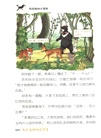 沈石溪動物探索營：西雙版納大冒險（簡體書）