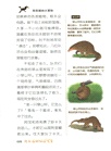 沈石溪動物探索營：西雙版納大冒險（簡體書）