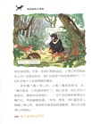沈石溪動物探索營：西雙版納大冒險（簡體書）