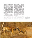 世界野生貓科動物（簡體書）