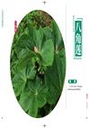 中國珍稀藥用植物圖典(全3冊)（簡體書）