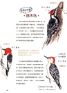 怎樣觀察一隻鳥（簡體書）