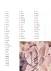 多肉植物這樣養(簡體書)