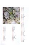 多肉植物這樣養(簡體書)