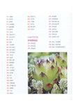 多肉植物這樣養(簡體書)