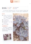 多肉植物這樣養(簡體書)