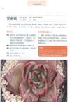 多肉植物這樣養(簡體書)