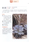 多肉植物這樣養(簡體書)