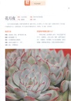 多肉植物這樣養(簡體書)