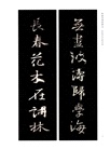 集王聖教序楹聯百品(簡體書)